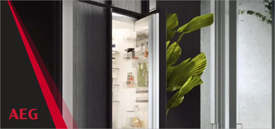 Как-перевесить-дверь-холодильника-Aeg.jpg