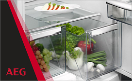 Холодильники AEG Santo