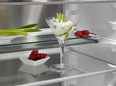 Встраиваемый холодильник AEG TSC8M191CS